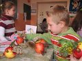 IMG_2913